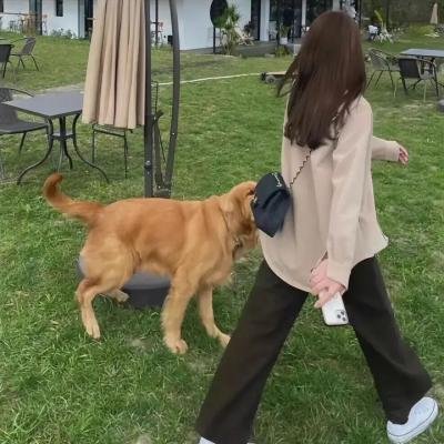 皇家律师 第三季